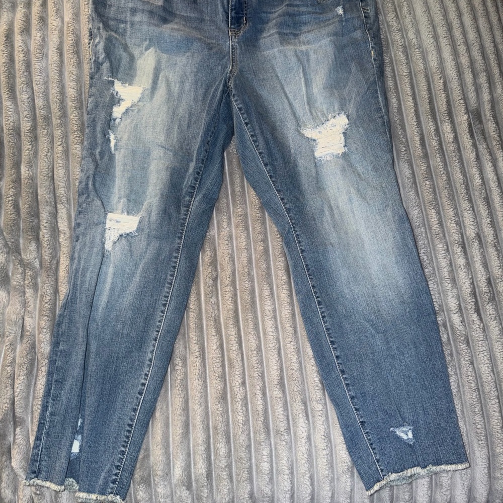 Torrid Denim Boyfriend Jeans in Blue